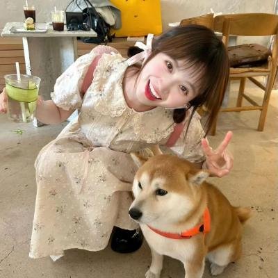 狗狗史酷比
