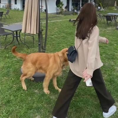 无敌的布莱特·本杰明